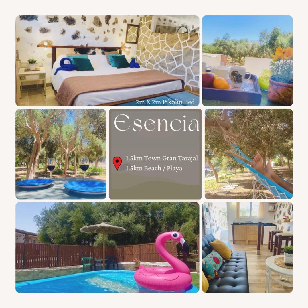 El Charco  Bungalow Alma #Only Adults מראה חיצוני תמונה